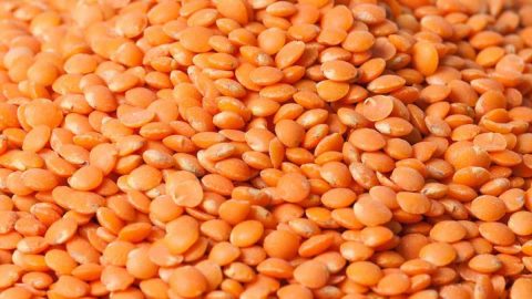 Rote Linsen Wer auf Fleisch verzichten möchte findet unter Linsen, Hülsenfrüchten und Bohnen starke Eiweißlieferanten