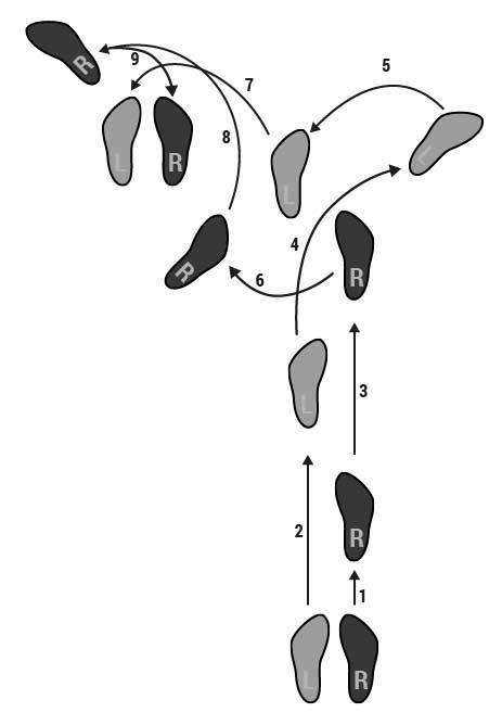 cross-mover-1