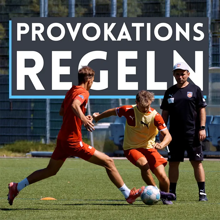 Online-Kurs "Provokationsregeln"